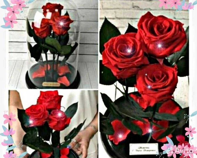 Роза в колбе