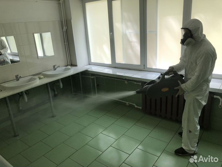 Уничтожение клопов, травить тараканов, дезинфекция