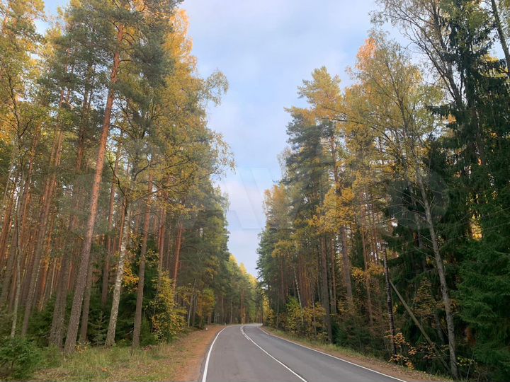 Участок 25 сот. (ИЖС)