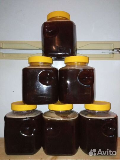 Вкуснейший мёд с предгорья Алтая