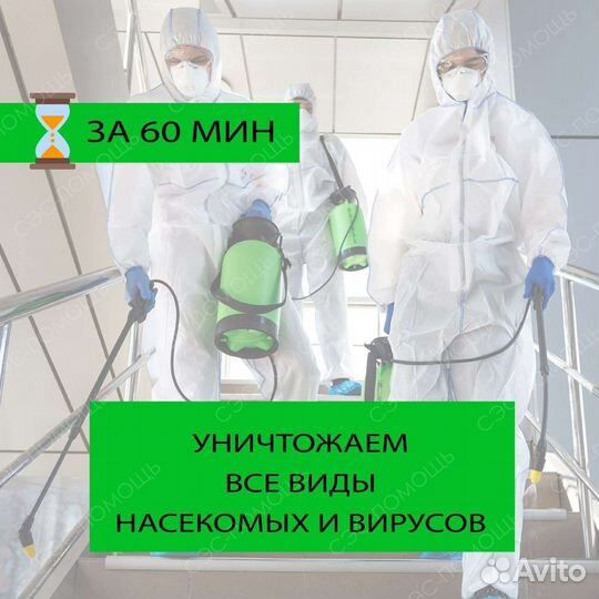 Уничтожение клопов тараканов мышей клещей блох