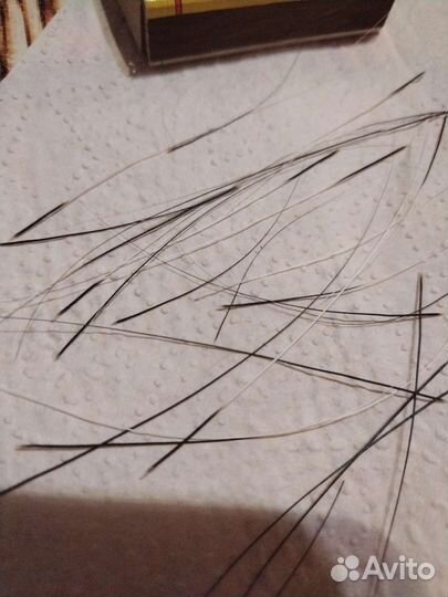 Усики кошек. Виброссы