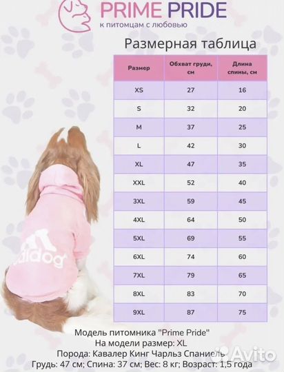 Кофта для собаки