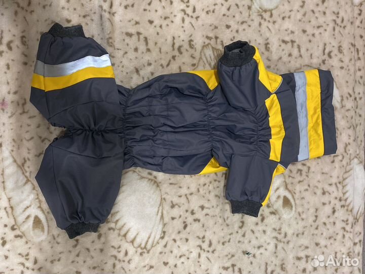 Комбинезон для собаки девочки бронь