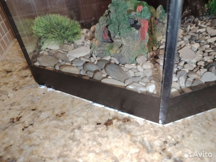 Аквариум 100л со всеми принадлежностями