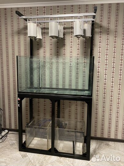 Морской аквариум+самп+рама, свет. Обьём 550 л