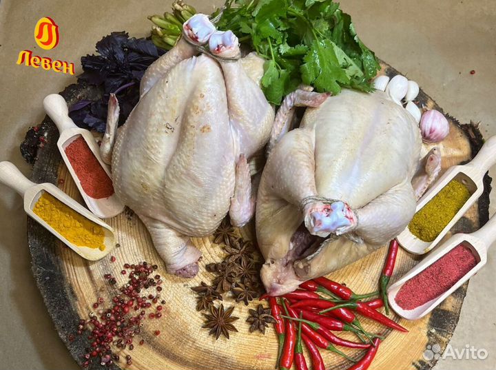 Мясо птицы. Домашняя курица