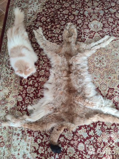 Шкура рыси, имитация