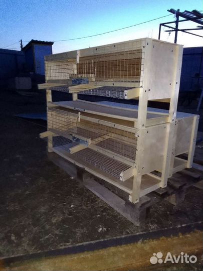 Клетка для перепелок несушек