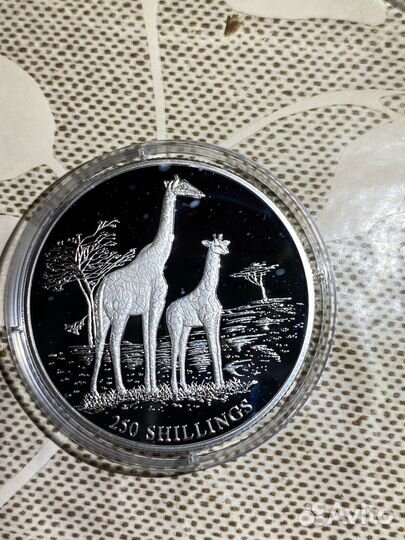 Жирафы. Серебро 250 Шиллингов 1999 года