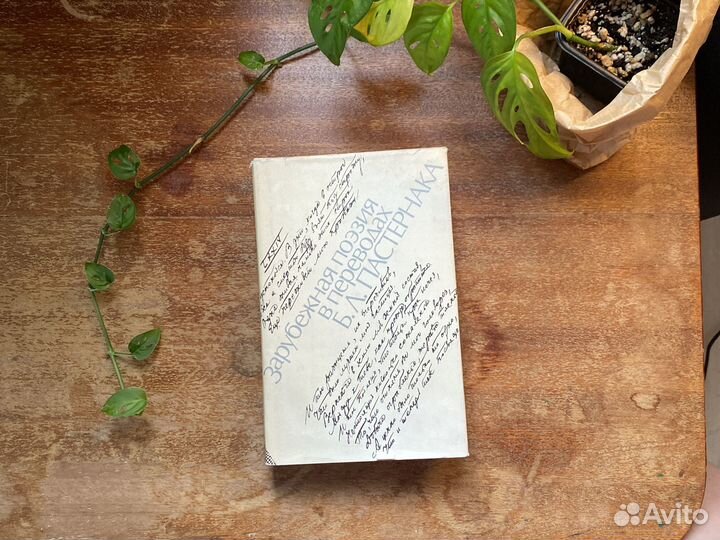 Зарубежная поэзия в пер.Пастернака