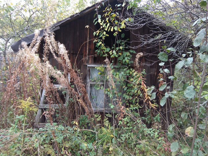 Участок 5 сот. (СНТ, ДНП)