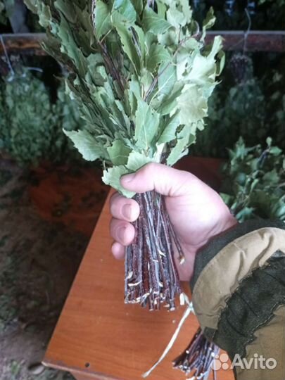 Березовые веники