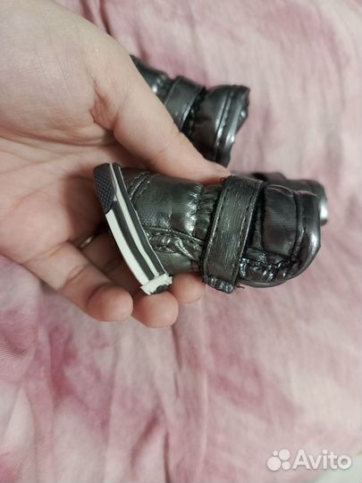 Ботинки для собак мелких пород и носочки