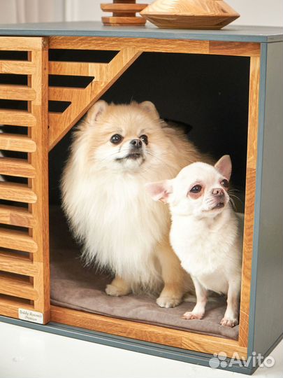 Вольер для собак Домашний