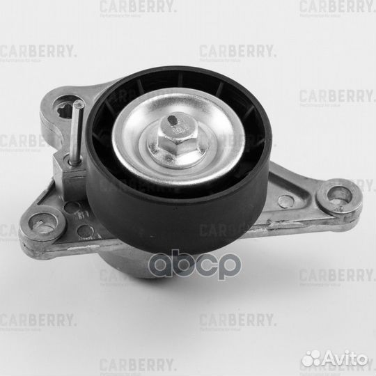 Натяжитель ремня приводного nissan Qashqai(J10)