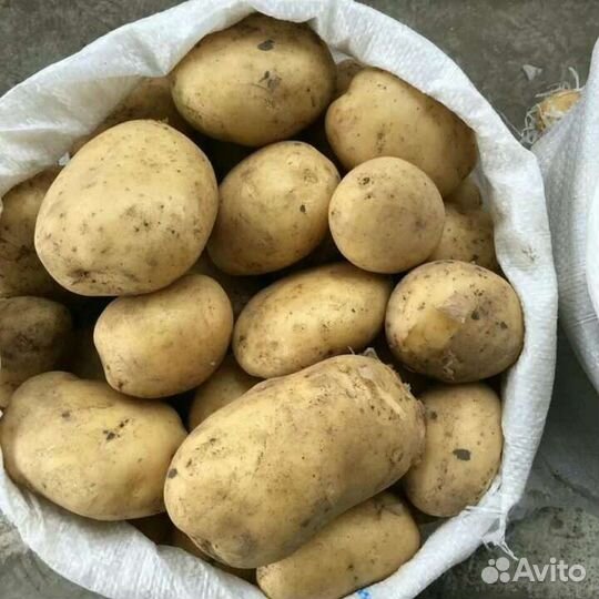 Картофель деревенский