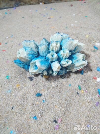 Искусственные кораллы оптом и в розницу