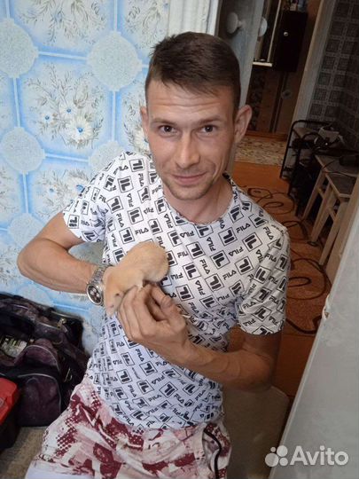 Ремонт бытовых и промышленных холодильников