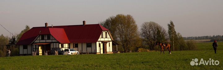 Требуется конюх/разнорабочий на ферму