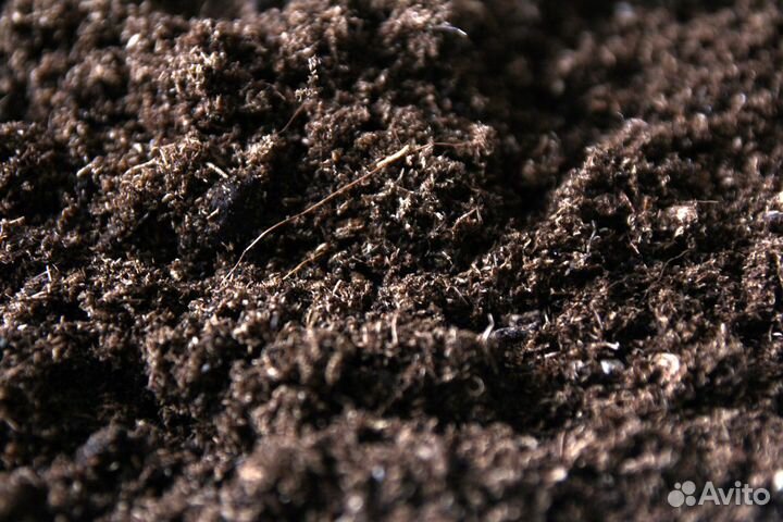 Торф,земля