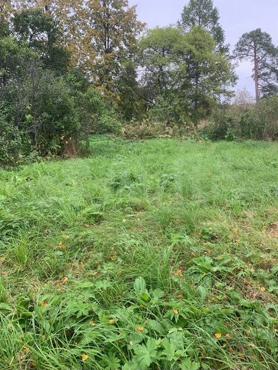 Участок 30 сот. (ИЖС)