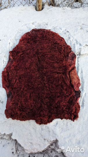 Выделанная шкура овечья