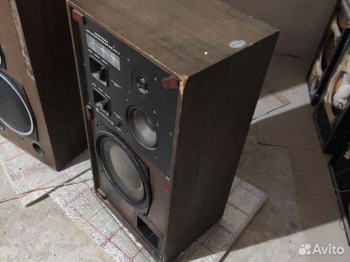 Колонки радиотехника 35ас1