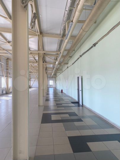 Офис, 301.7 м² (под застройку мин.54 м.кв.)