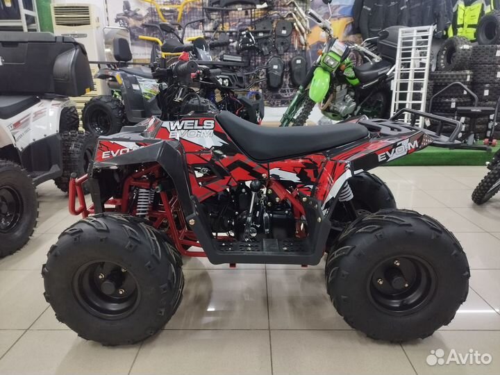 Детский квадроцикл thunder EVO.M 110