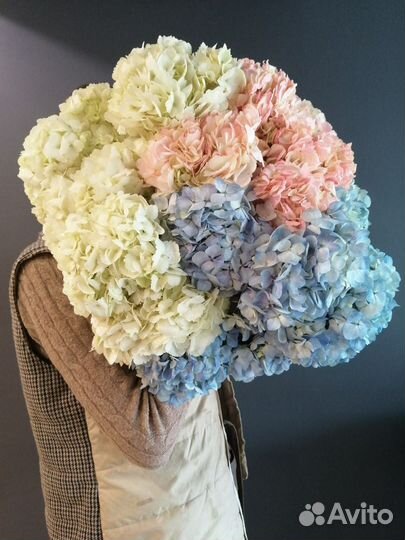 Гортензии Букет гортензий