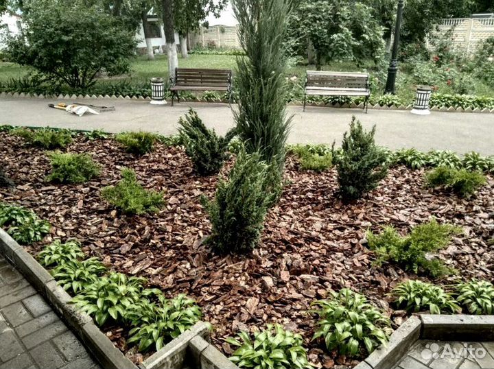 Кора сосны ангарской опт/розница от производителя