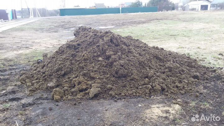 Навоз напрямую с коровника