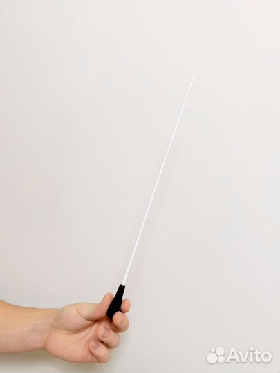 Дирижерская палочка