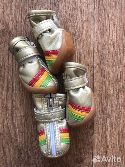 Ботинки для собаки