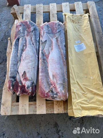 Рыба Кета псг