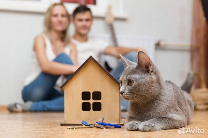 Ипотека/Подбор недвижимости бесплатно