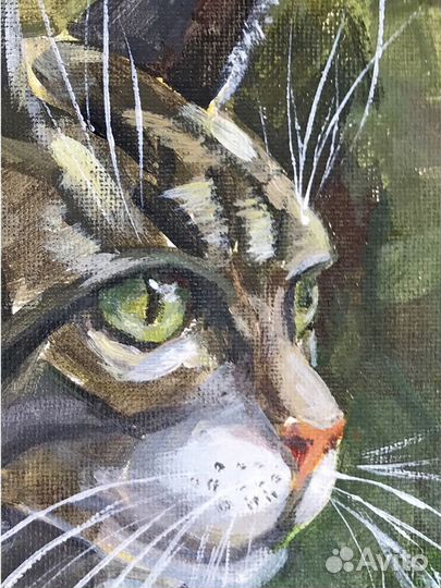 Картина акрилом на холсте Кот с зелеными глазами