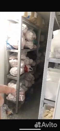 Корм для собак