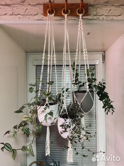 Подвесы для ваших растений