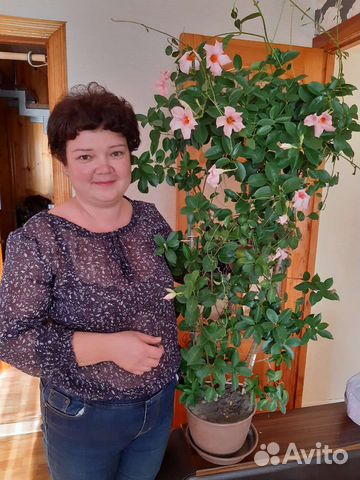 Диплодения