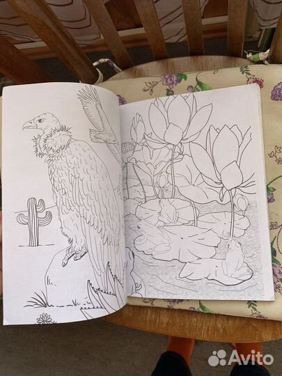 Раскраска антистресс дикие животные