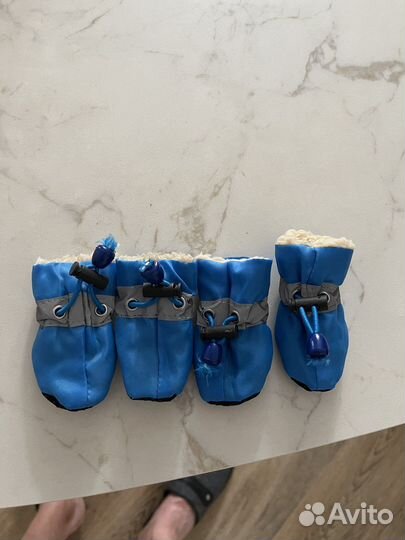 Сапожки для собак