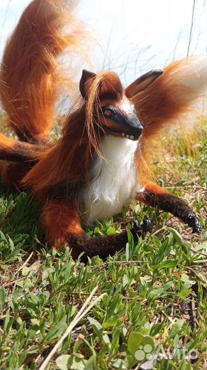 Лис трёх хвостый