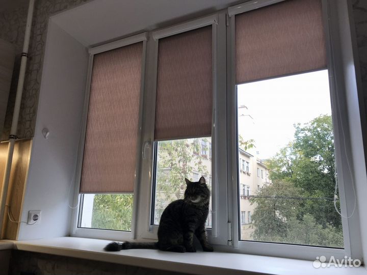 Рулонные шторы