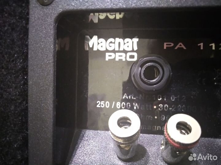 Акустические колонки концертные Magnat PRO PA-112