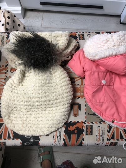 Одежда доя собак