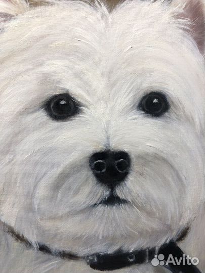 Очаровашка