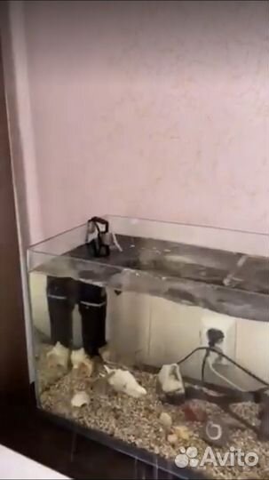 Продам аквариум с крышкой 60 литров