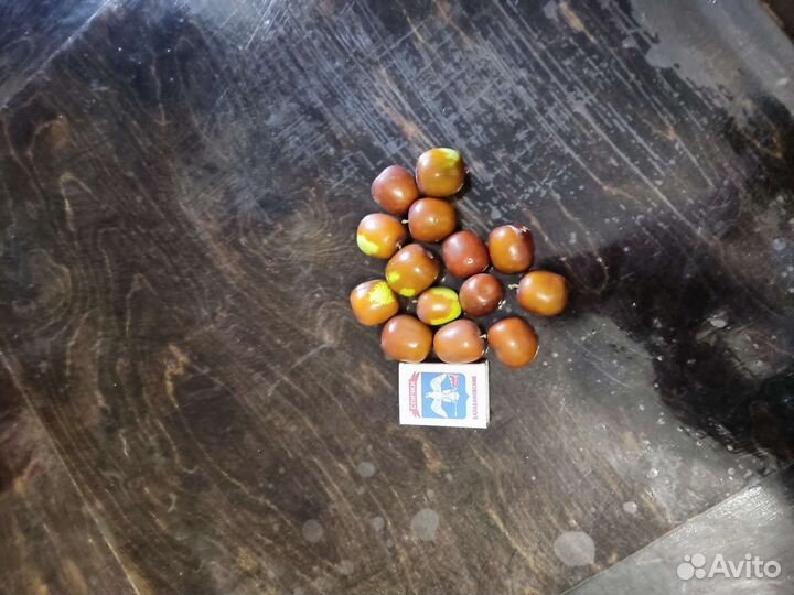 Унаби плоды